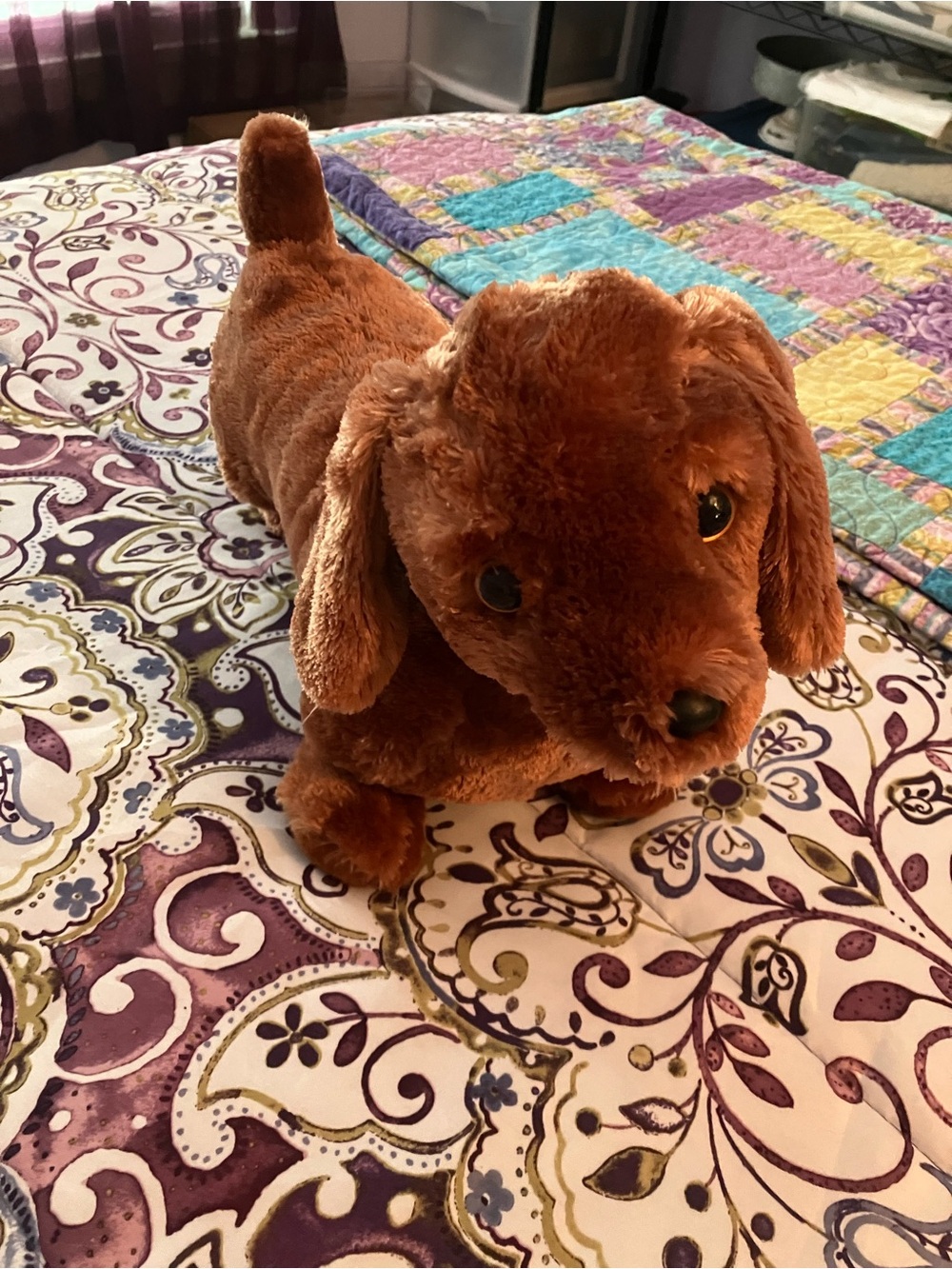 TY Frank the Dachshund Toy 2016 Plush Stuffed Dog